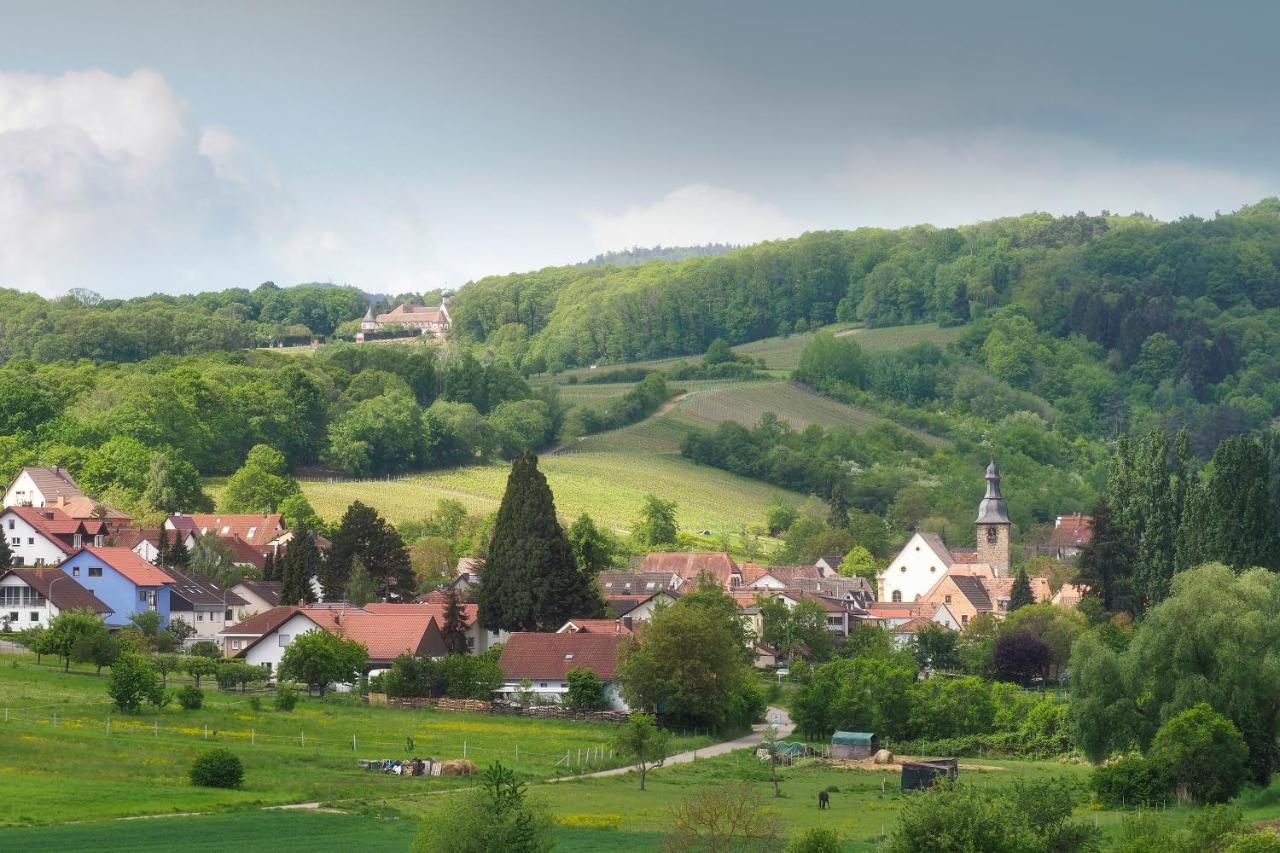 Landhotel Hauer Pleisweiler-Oberhofen Екстер'єр фото