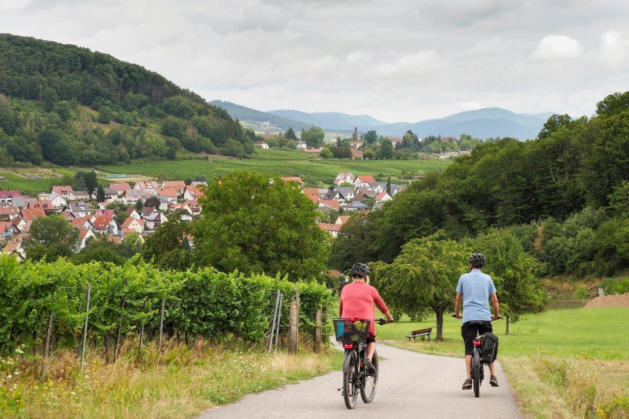 Landhotel Hauer Pleisweiler-Oberhofen Екстер'єр фото