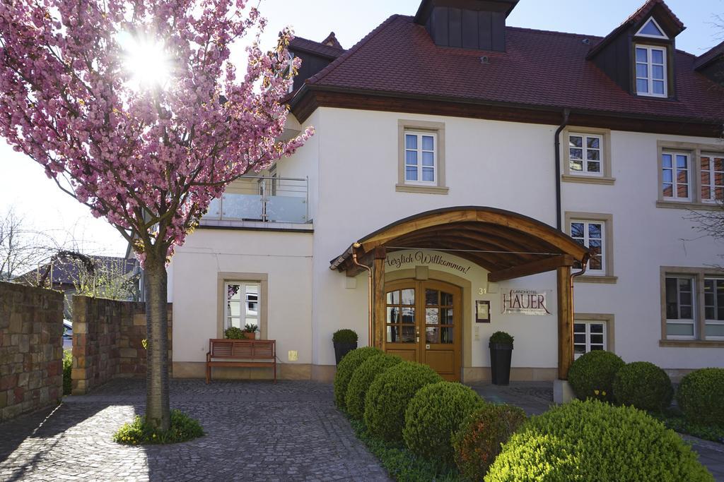 Landhotel Hauer Pleisweiler-Oberhofen Екстер'єр фото